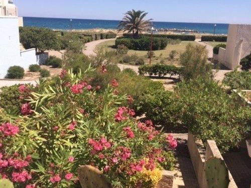 Appartement Port Barcarès, 3 pièces, 6 personnes - FR-1-81-273 Le Barcarès france