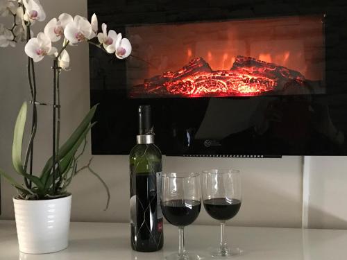 Port Bidassoa - T2 Coquet, Wifi, Parking
