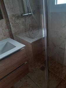 PORT GRIMAUD T2 50 M A PIEDS PLAGE
