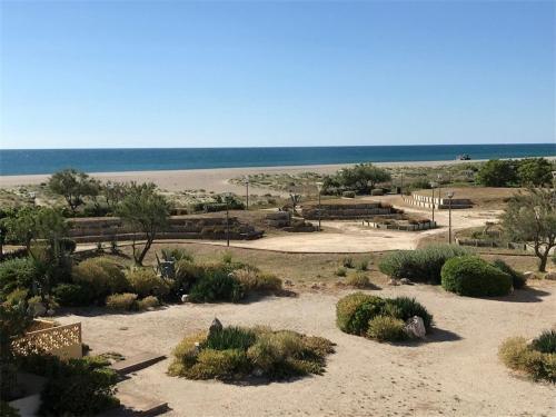 Appartement Port Leucate, 2 pièces, 4 personnes - FR-1-81-117 Port Leucate france