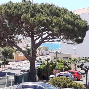 PORT RAPHAEL