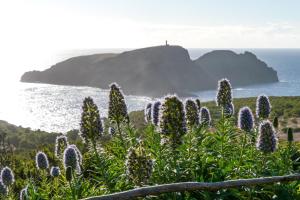 Porto Santo Blue House