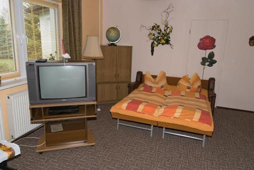 Preisguenstige-und-gemuetliche-Ferienwohnung-am-Wieker-Bodden