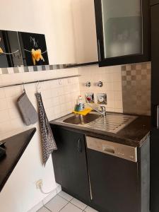 Premium deluxe Apartment im Zentrum