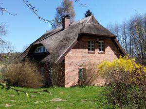 Appartement Premiumwohnung im Biosphärenreservat Kollhof 18581 Vilmnitz Mecklembourg-Poméranie