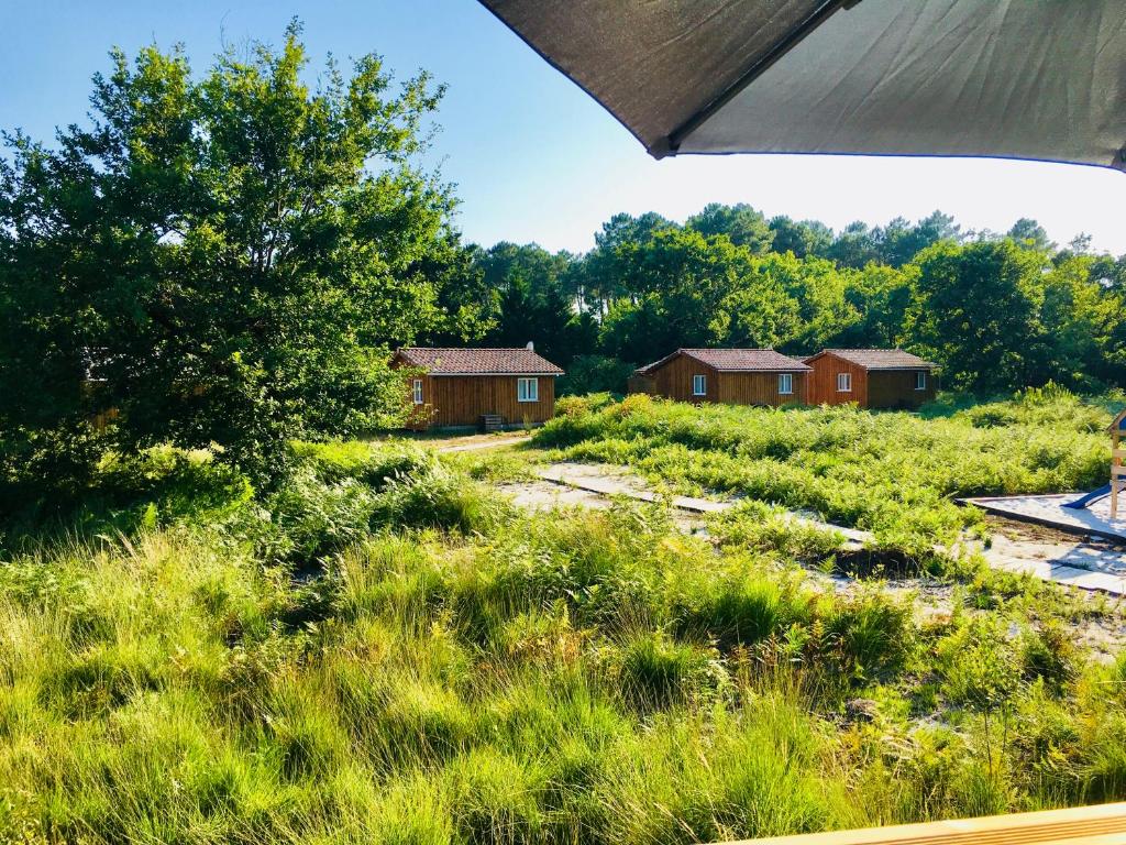 Près de Melun, Appt 3 pièces 2 chambres tout confort 77190 Dammarie-les-Lys