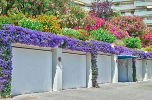 Pretty apartment at 800m from the beach of Cannes