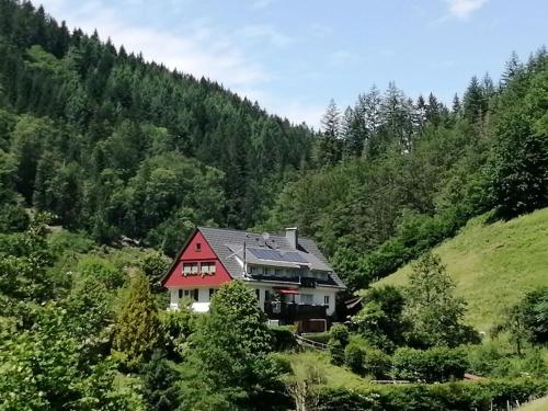 Pretty Apartment in Oppenau near Black Forest National Park