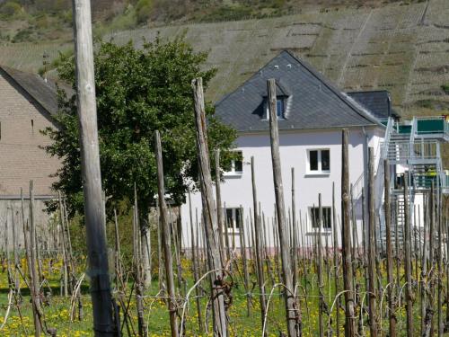 Pretty flat in Trittenheim between the vines and the Moselle