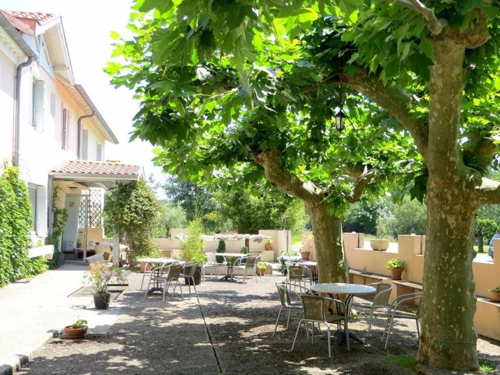 Pretty flat in Trittenheim between the vines and the Moselle 54349 Trittenheim