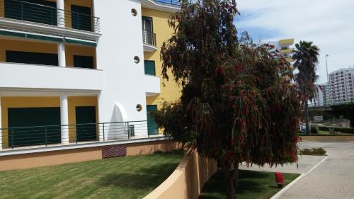 Primavera Sun