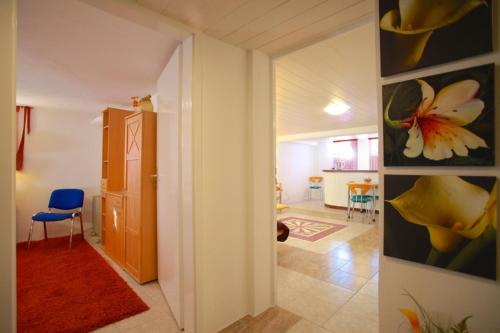 Privatapartment WiFi Flieder (6231)