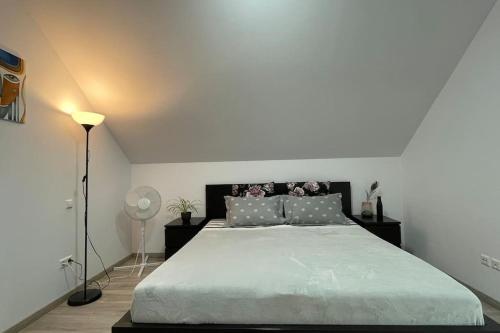 Private first floor house apt.