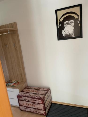 Private Wohnung Bunter Hund