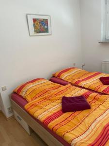 Private Wohnung Bunter Hund