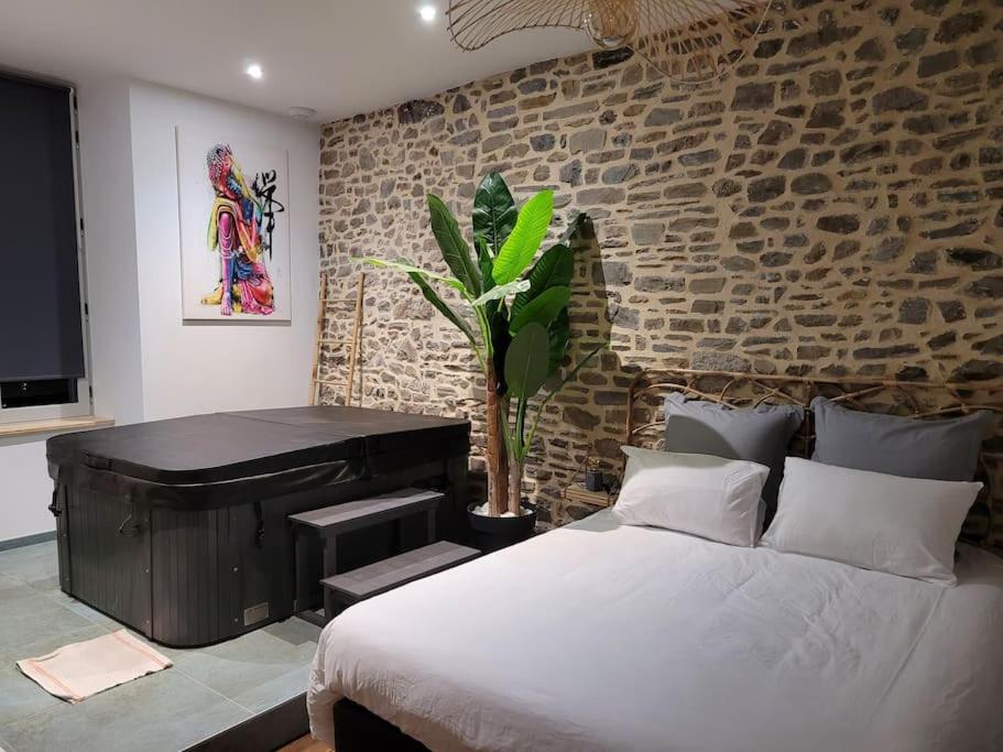 Appartement Profitez d'une douce nuit avec jacuzzi 13 Place du Théatre 35300 Fougères