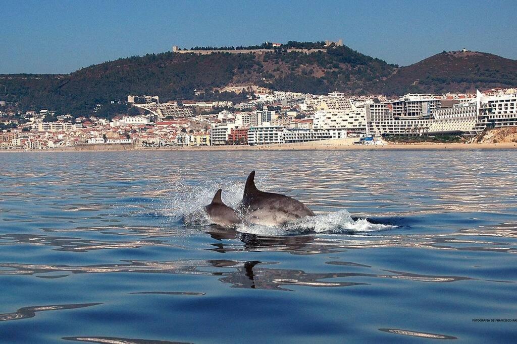 Pula AL -Swimming pool and parking- 19 Rua Varandas para o Mar, 2970-773 Sesimbra