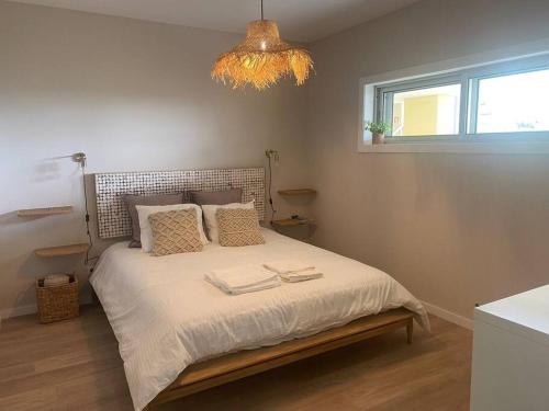 Pula AL -Swimming pool and parking-