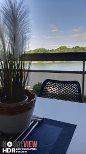 Quai de la lagune - vue sur la Marina