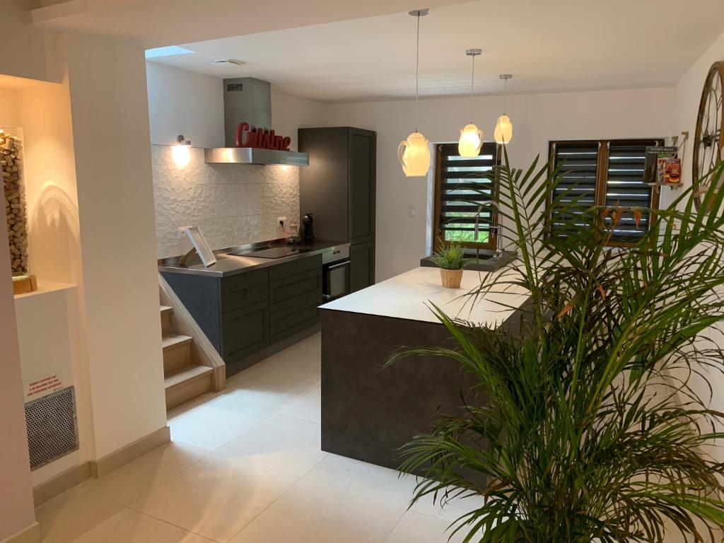 Quartier piéton. T3 65m2. 2 chambres. 5 personnes. 65110 Cauterets