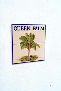 Queen Palm