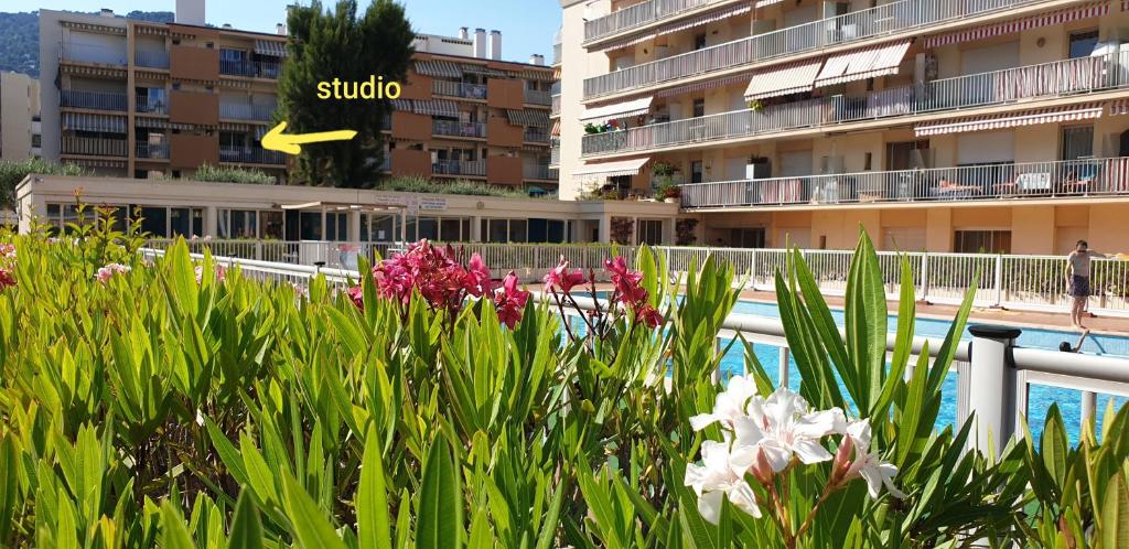 Quiet and bright studio with view on the garden
