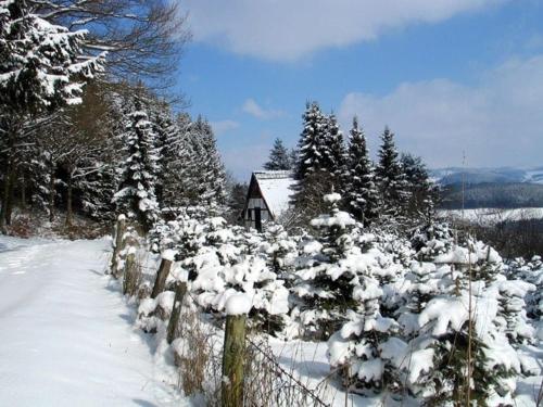 Quiet cozy apartment in the Sauerland with private terrace
