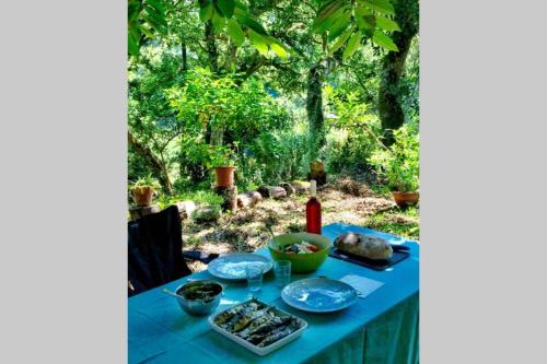 Quinta biológica, com vista, na Serra de Sintra