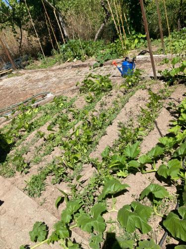 Quinta das Fragas Casa 10 Pessoas