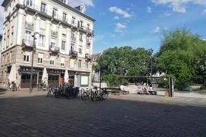 R-Appartements La Petite Strasbourgeoise Hygge