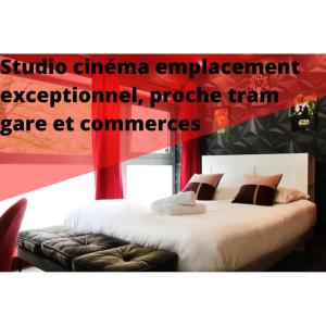 Appartement R'Studio Ciné Salle 1 Hypercentre Grenoble 17 Avenue Alsace Lorraine 38000 Grenoble Rhône-Alpes