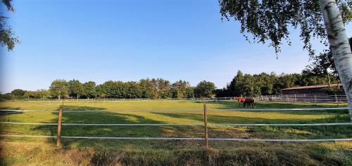 Ranchhouse Hunde und Pferde willkommen