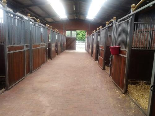 Ranchhouse Hunde und Pferde willkommen