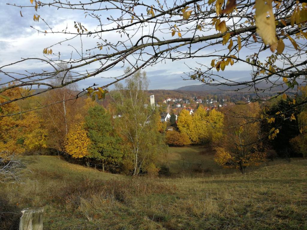 Appartement Ravensbergblick - harzlich willkommen in Bad Sachsa 30 Schillerstraße 37441 Bad Sachsa