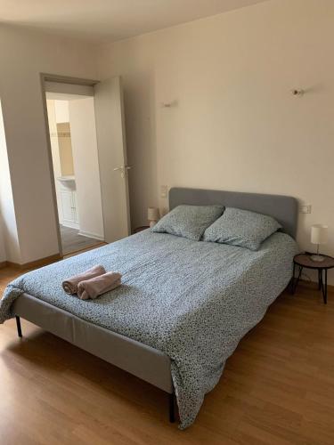 Ravissant Appartement T3 hypercentre de Mazamet