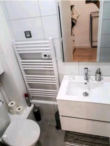 Appartement Ravissant studio en face de la gare 3 Boulevard Bonrepos 31000 Toulouse Midi-Pyrénées