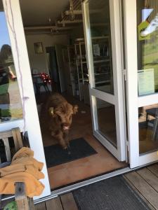 Appartement RechHof Urlaub mit Tieren 15 Allerstraße 53426 Schalkenbach Rhénanie-Palatinat