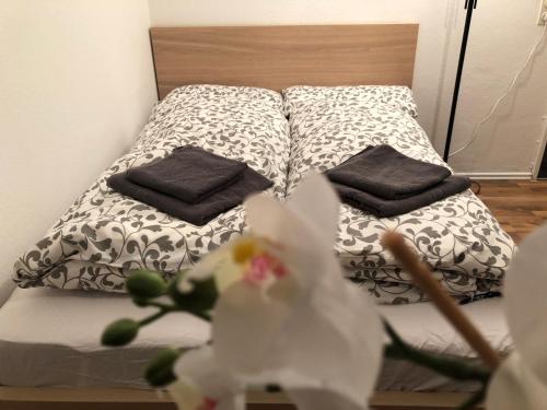 Appartement Redhouse Ratisbonne allemagne