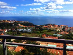 Reed´s View