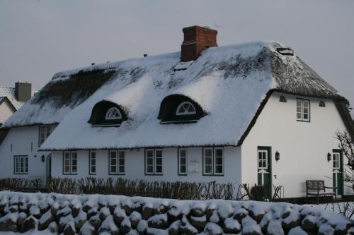 Reetdach Friesenhof Süderende