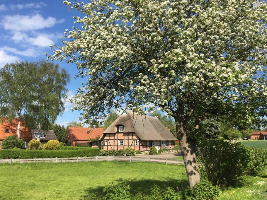 Appartement Reetgedeckte Fachwerkhaushälfte an der Ostsee 9 Schmiedendorf 24321 Hohwacht