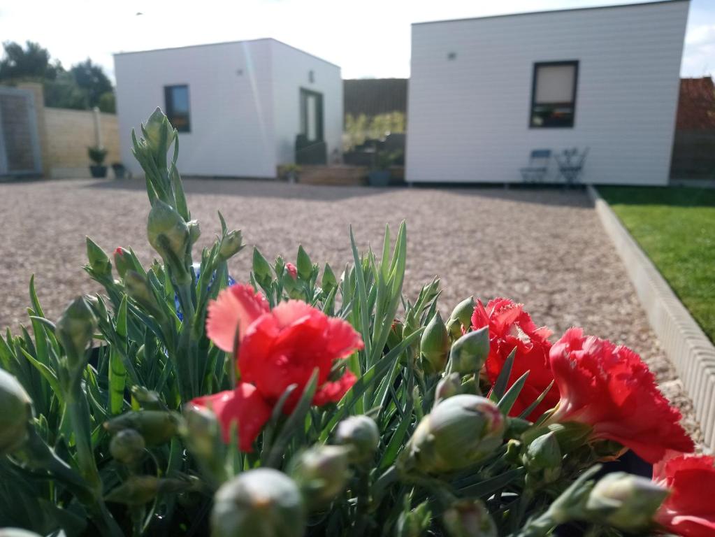 REF 024 Appartement T3 vue sur mer 56640 Arzon
