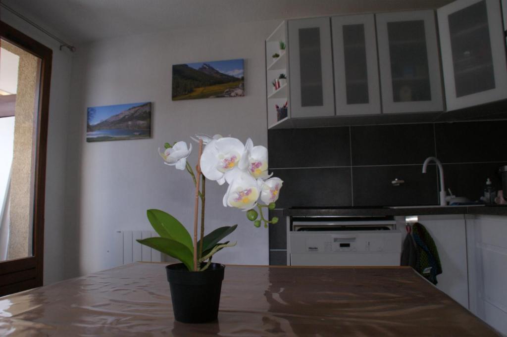 REF 040 - Studio vue Port-Crouesty pour vos prochaines vacances a Arzon 56640 Arzon
