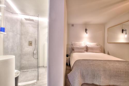 REF 1135 - Large studio on the Croisette