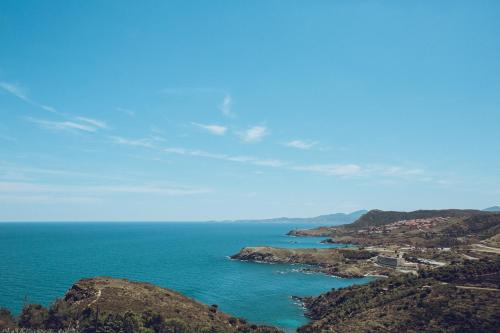 Regina's Banyuls - Top view