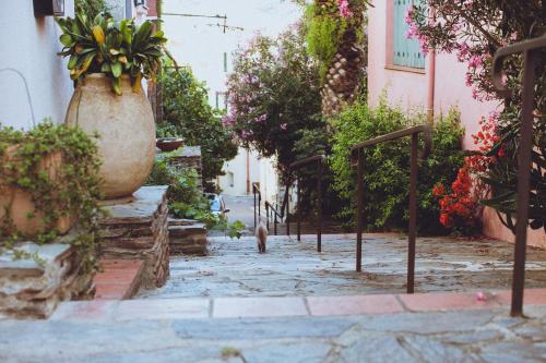 Regina's Banyuls - Top view