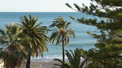 Regina sur la plage