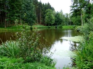 Appartement Relaxen am Rosenbusch 18 Blankenheimer Straße 53520 Ohlenhard Rhénanie-Palatinat