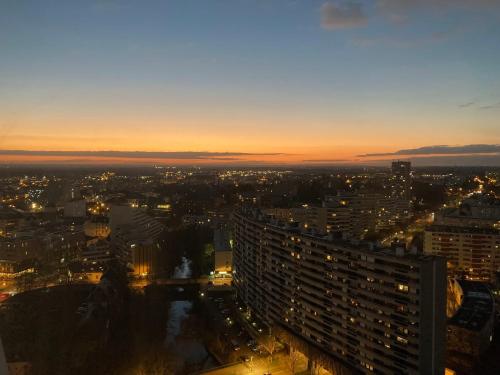 Rennes vu des Horizons