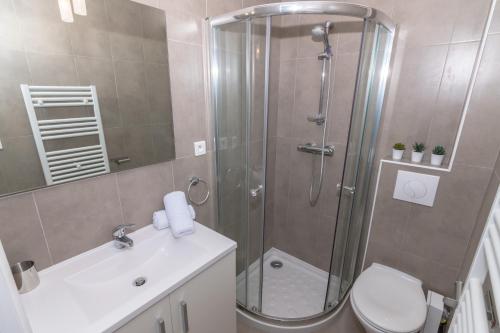 Renovated studio Cannes